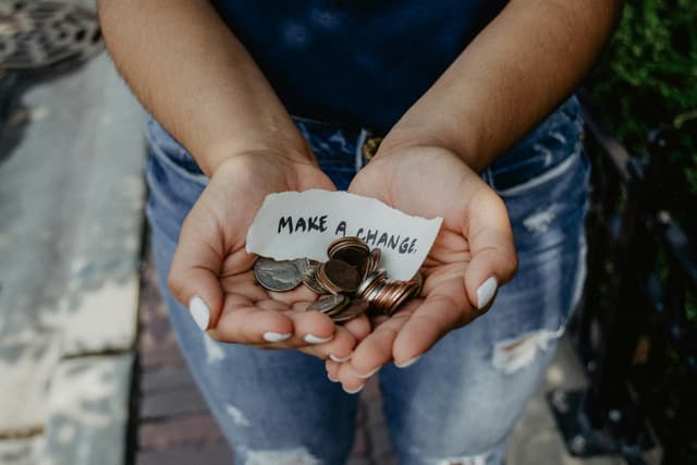 Why Animal Shelters Need Your Support in 2025 More Than Ever